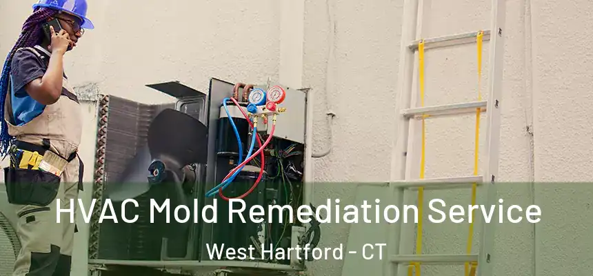  HVAC Mold Remediation Service West Hartford - CT