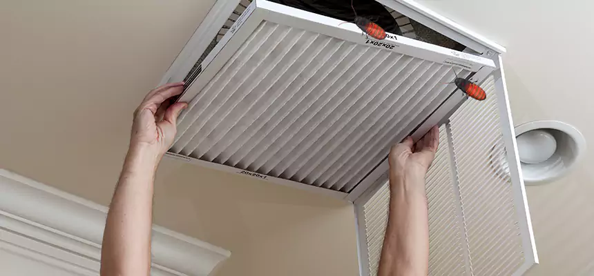 Preventive Cockroach-Proofing for Ducts in West Hartford