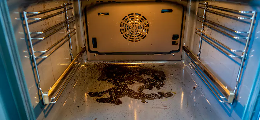 Our Dryer Vent Mold Cleaning Services in West Hartford, CT