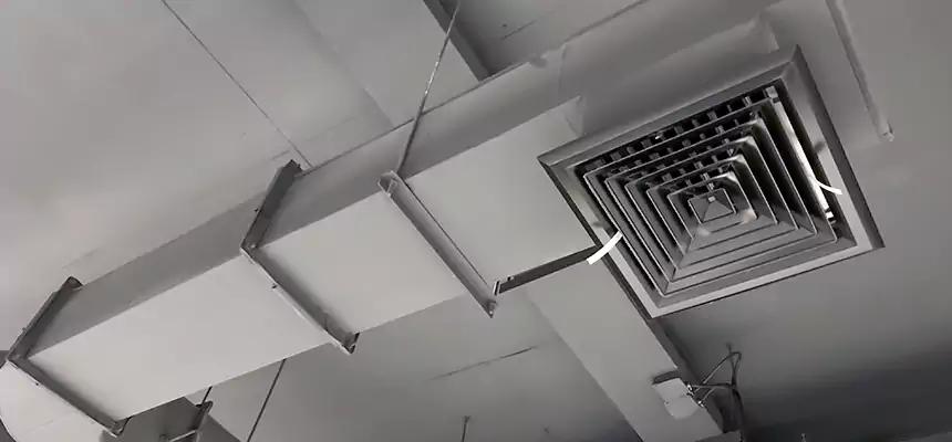 Our Pest Removal From Ducts Services in West Hartford, CT