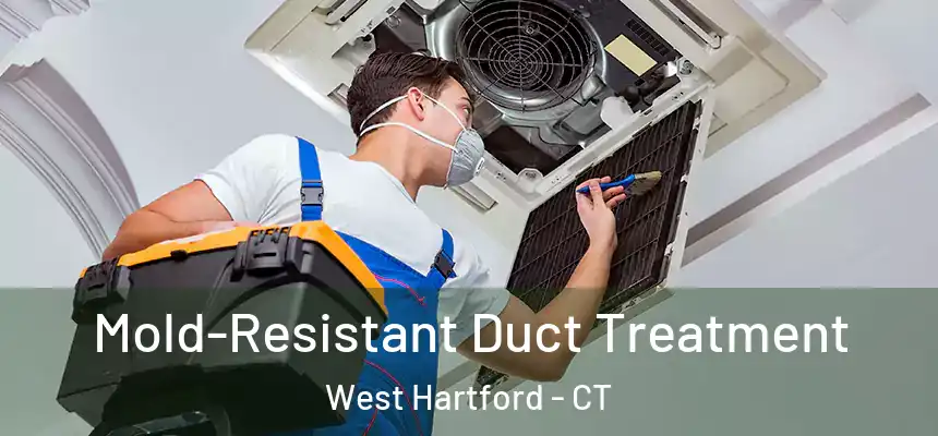  Mold-Resistant Duct Treatment West Hartford - CT