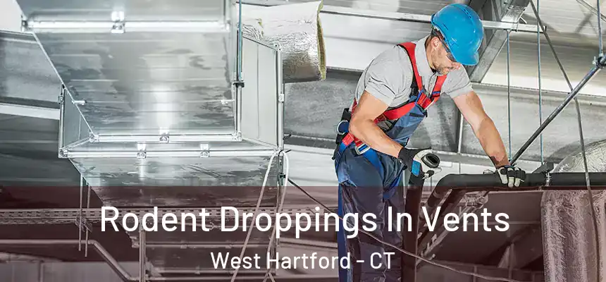 Rodent Droppings In Vents West Hartford - CT