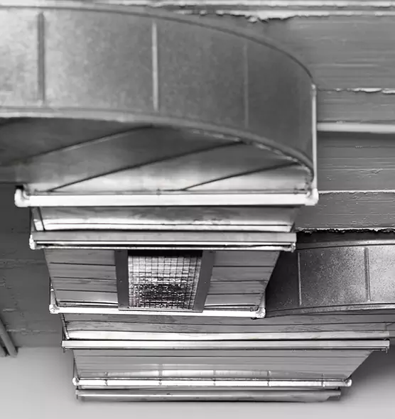 Professional Air Duct Pest Removal in West Hartford, CT