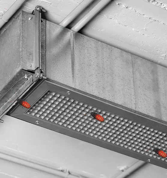 Affordable Insect Removal from Air Ducts in West Hartford, CT